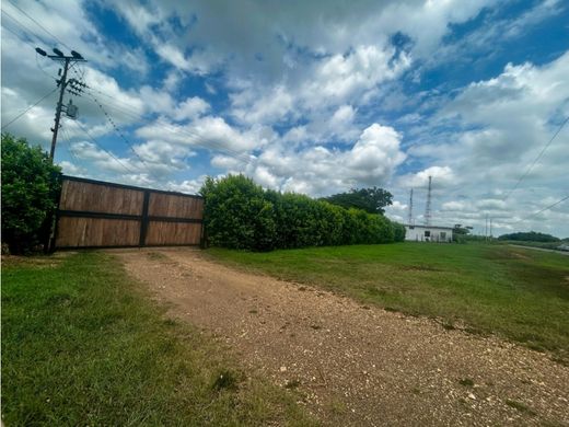 Cortijo o casa de campo en Corozo Pando, Estado Guárico