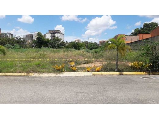地皮  巴伦西亚, Municipio Valencia
