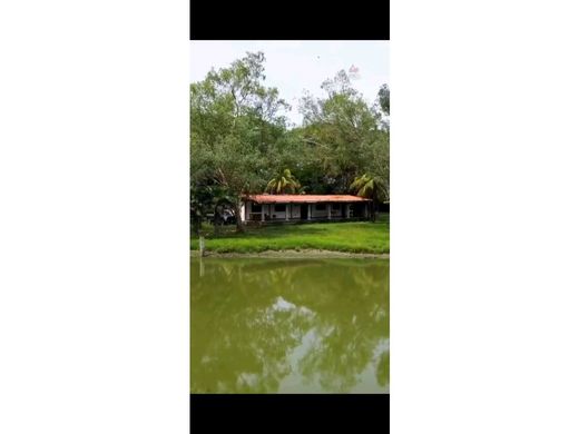 Farmhouse in Ospino, Municipio Ospino