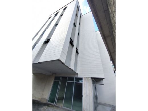 Daire Karakas, Municipio Libertador