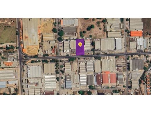 地皮  巴伦西亚, Municipio Valencia