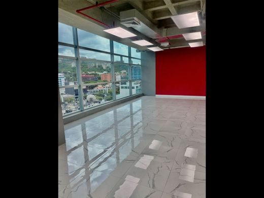 Biuro w Caracas, Municipio Libertador