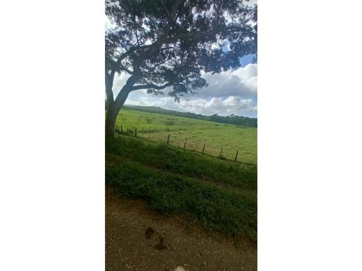 Ferme à Yaracal, Municipio Cacique Manaure