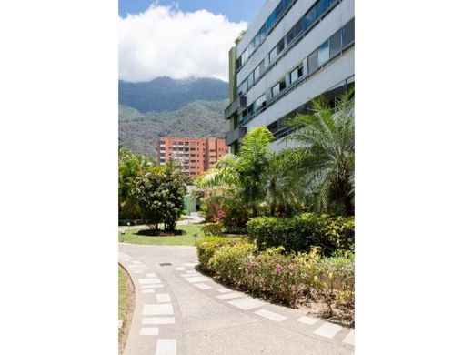 Apartment / Etagenwohnung in Caracas, Municipio Libertador