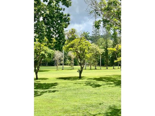 Maison de luxe à Caracas, Municipio Libertador