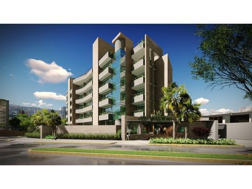 Daire Karakas, Municipio Libertador