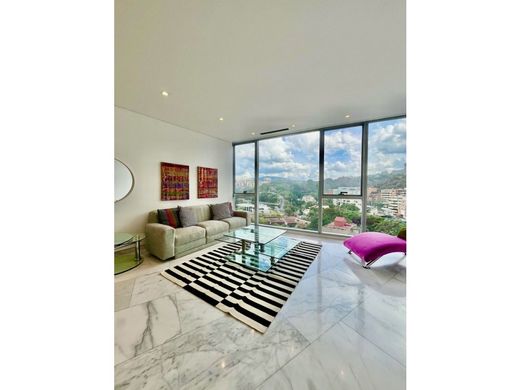 Daire Karakas, Municipio Libertador