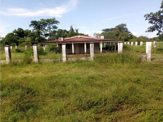 Boerderij in Caserío Tamanaco, Estado Cojedes