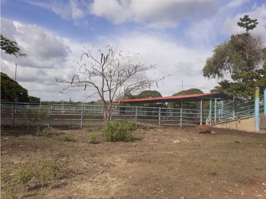 Farmhouse in Tinaquillo, Municipio Falcón