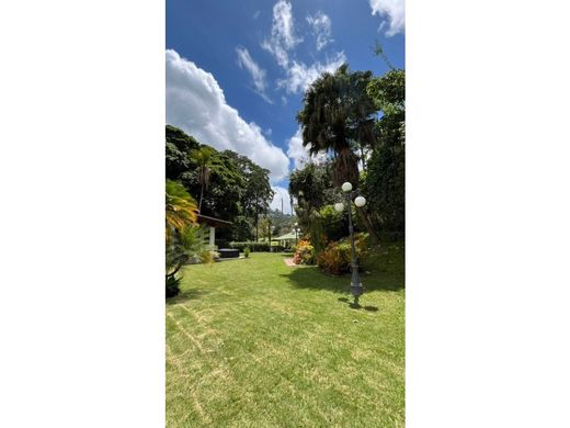 Lüks ev Karakas, Municipio Libertador