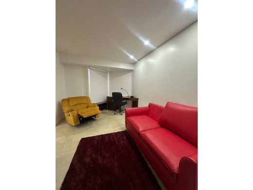 Daire Karakas, Municipio Libertador