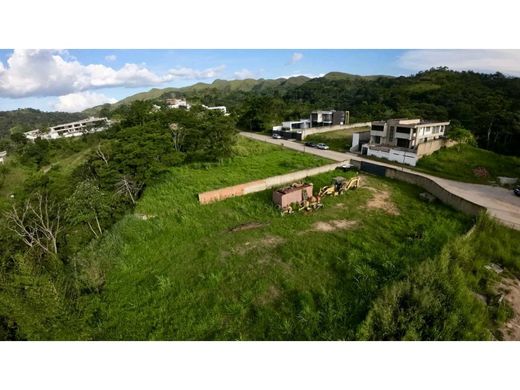 Land in Valencia, Municipio Valencia