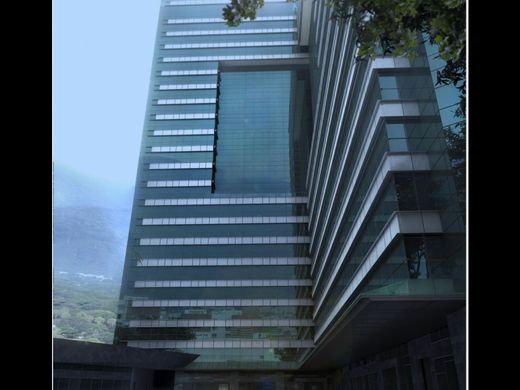 Ofis Karakas, Municipio Libertador