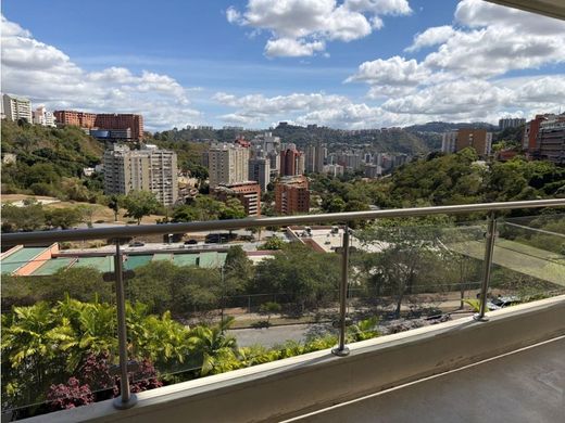 Daire Karakas, Municipio Libertador