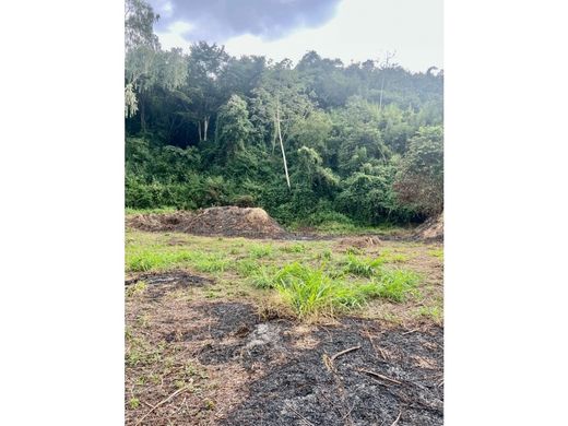 Terrain à Caracas, Municipio Libertador