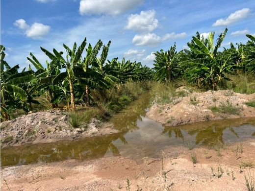 Farmhouse in Calabozo, Municipio Francisco de Miranda