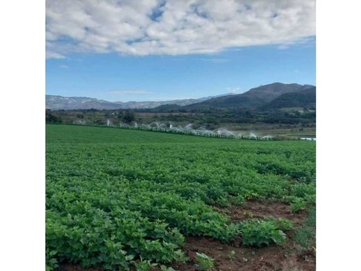 Cortijo o casa de campo en Nirgua, Municipio Nirgua