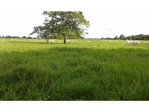 Ferme à Barinas, Municipio Barinas