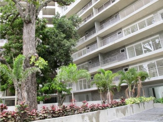 Daire Nueva Caracas, Distrito Capital