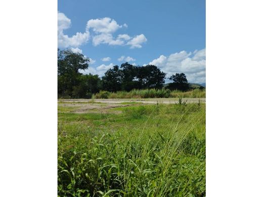 Land in Valencia, Municipio Valencia