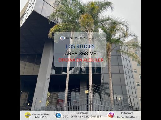 Office in Caracas, Municipio Libertador