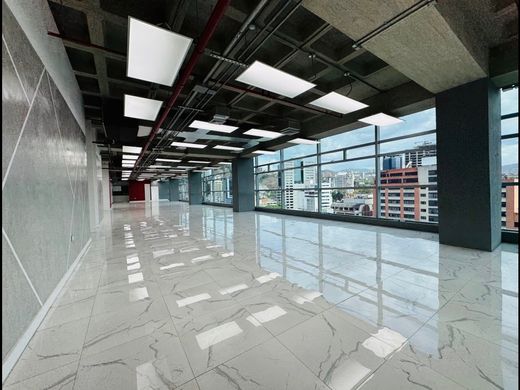 Офис, Каракас, Municipio Libertador