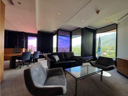 Офис, Каракас, Municipio Libertador