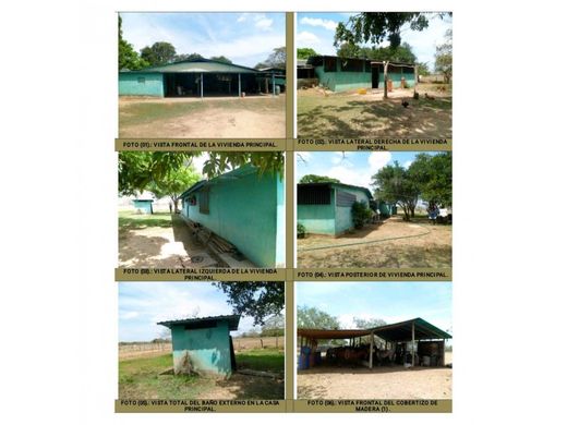 Ferme à Achaguas, Estado Apure