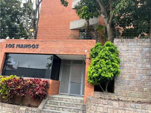 펜트하우스 / 카라카스, Municipio Libertador