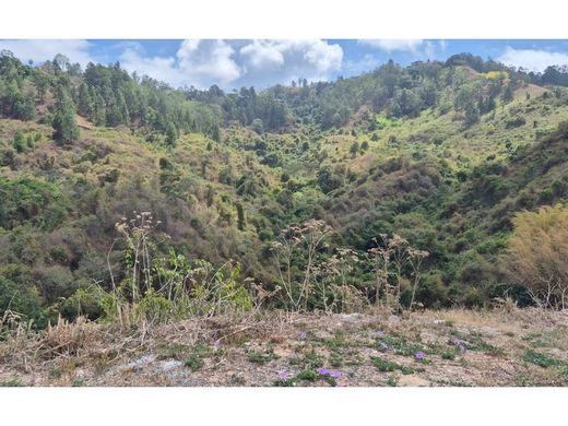 Αγροτεμάχιο σε Καράκας, Municipio Libertador