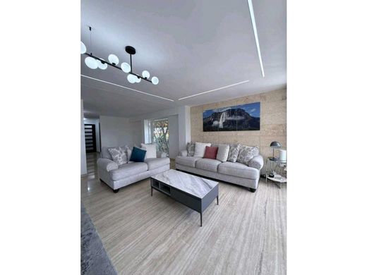 Lüks ev Karakas, Municipio Libertador