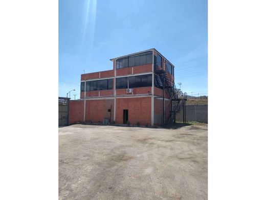 Αγροτεμάχιο σε Zamora, Estado Miranda