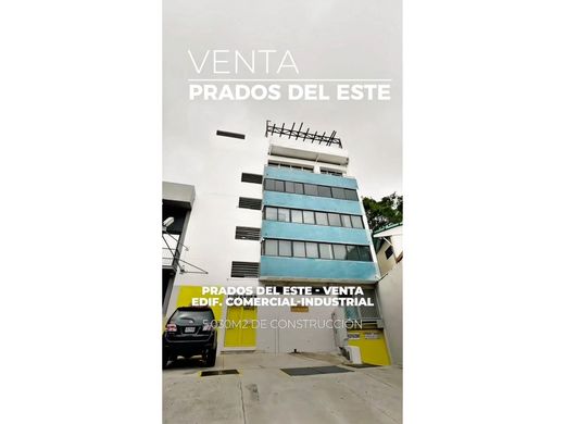 Residential complexes in Caracas, Municipio Libertador