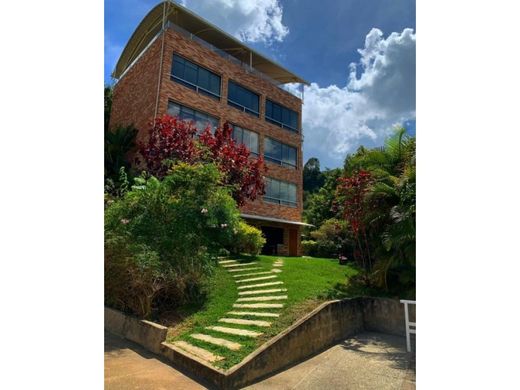 Hotel w Caracas, Municipio Libertador