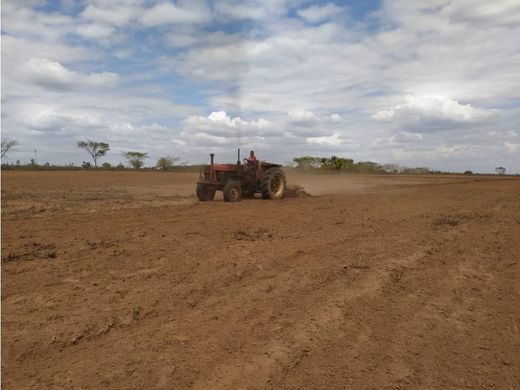Gutshaus oder Landhaus in El Tigre, Estado Anzoátegui