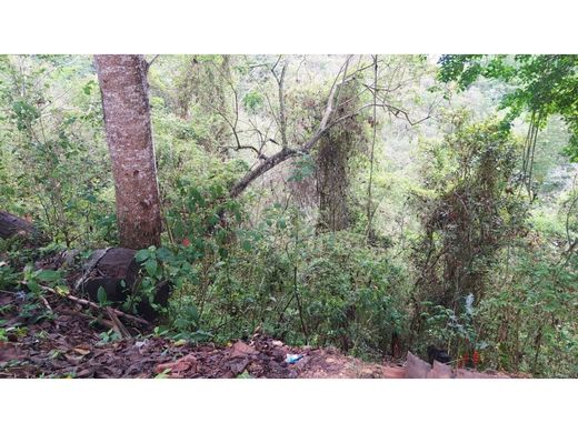 カラカス, Municipio Libertadorの土地