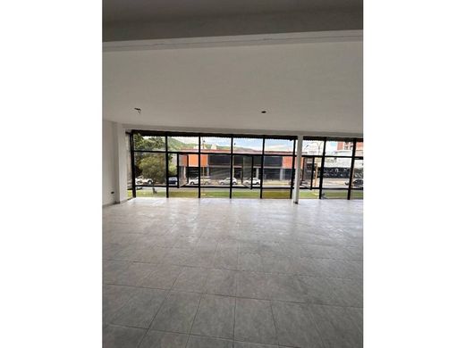 Residential complexes in Valencia, Municipio Valencia