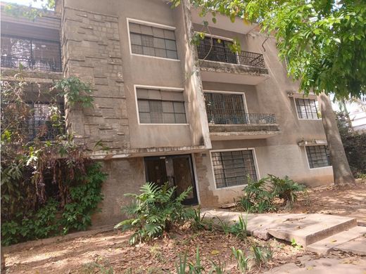 カラカス, Municipio Libertadorの土地