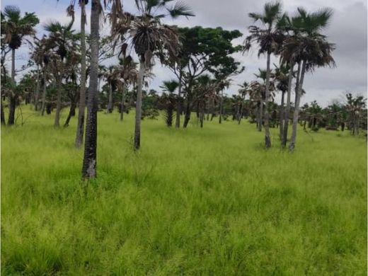 Terreno a El Corozo, Estado Guárico
