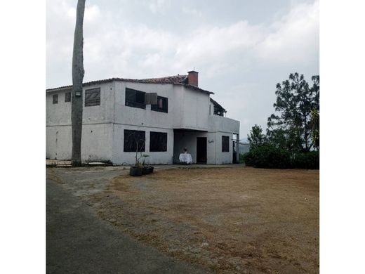 ‏קרקע ב  קראקס, Municipio Libertador