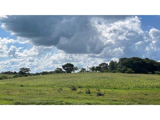 Farmhouse in El Palmar, Estado Bolívar