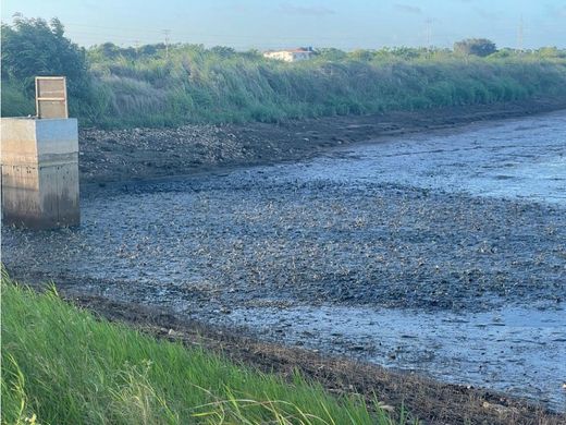 Farmhouse in Tucacas, Municipio Silva