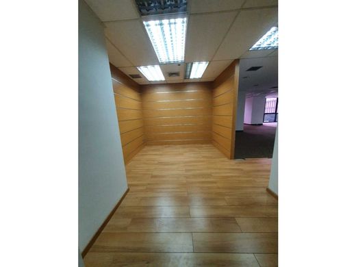 Ofis Karakas, Municipio Libertador