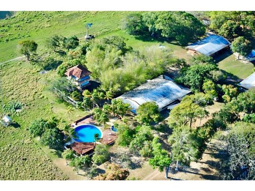 Ferme à Achaguas, Estado Apure