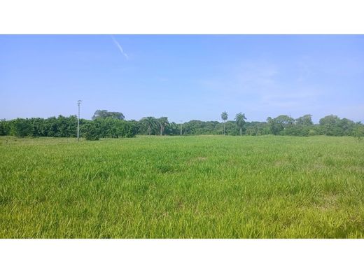 村舍/农舍  Barinas, Municipio Barinas