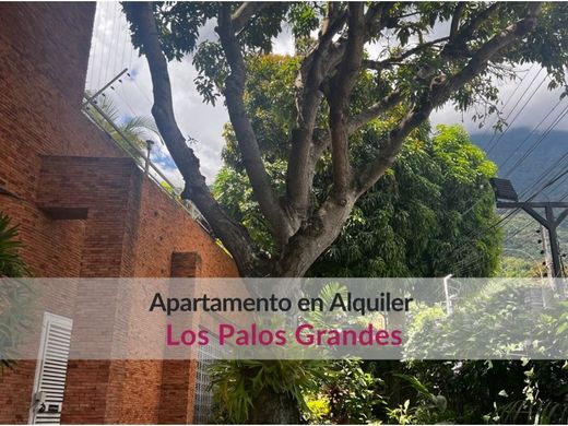 Apartment in Caracas, Municipio Libertador