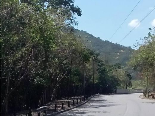 토지 / 카라카스, Municipio Libertador