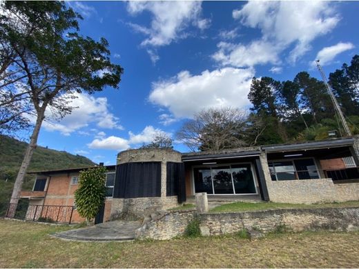 Lüks ev Karakas, Municipio Libertador