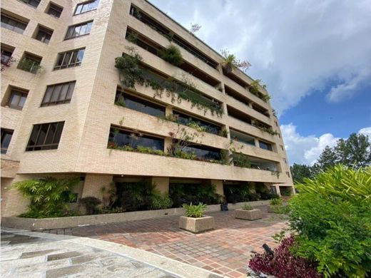 Daire Karakas, Municipio Libertador