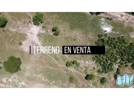 Terreno - Guacara, Municipio Guacara